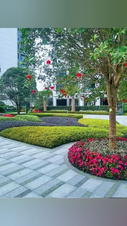 無需艷羨別人的風景，腳下的路終會繁花似錦